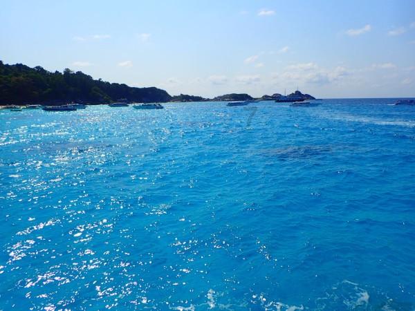 虫虫助手下载